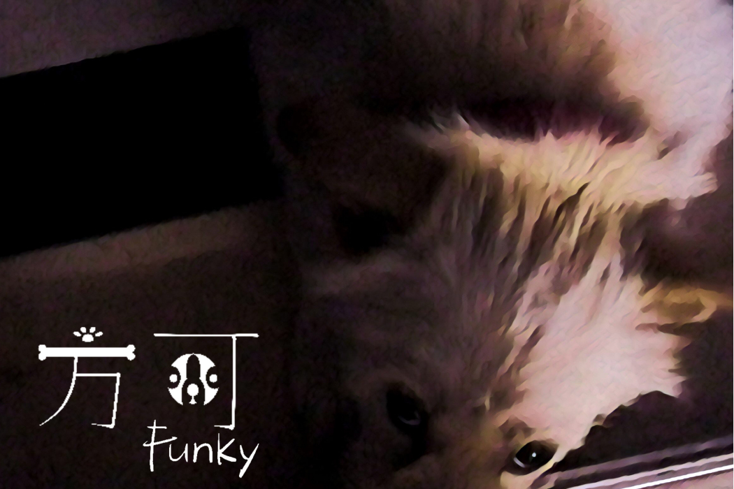 方可(Funky) 方可(Funky)