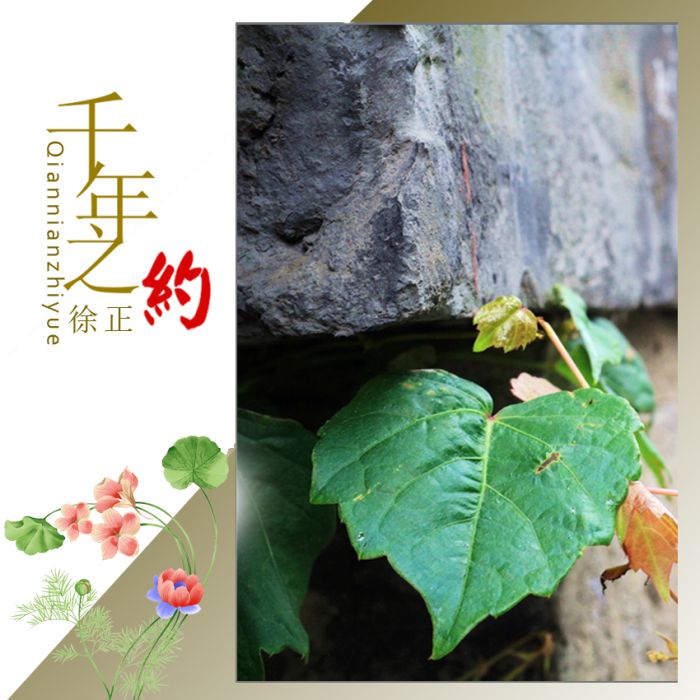 千年之約(徐正演唱歌曲) 千年之約(徐正演唱歌曲)
