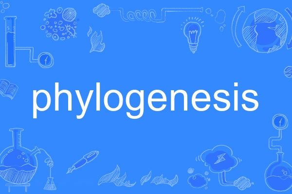 phylogenesis