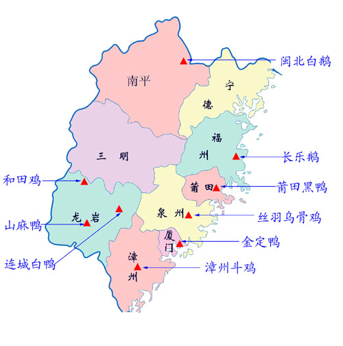 漳州鬥雞以及同類的分布圖