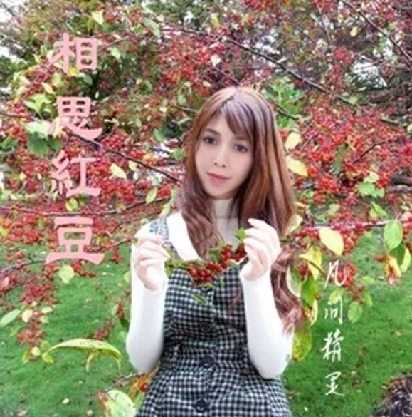 相思紅豆(凡間精靈演唱的歌曲) 相思紅豆(凡間精靈演唱的歌曲)