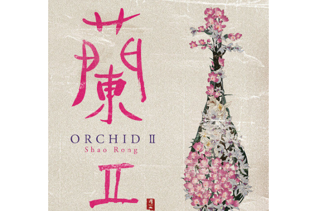 早春(邵容演奏的純音樂) 早春(邵容演奏的純音樂)