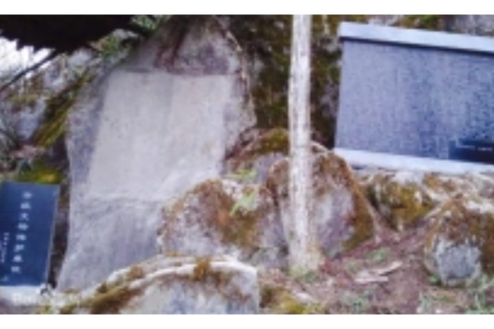 新改荒路記 新改荒路記