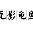 瓦影龜魚