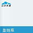 皇姑墓(盜墓探險小說) 皇姑墓(盜墓探險小說)