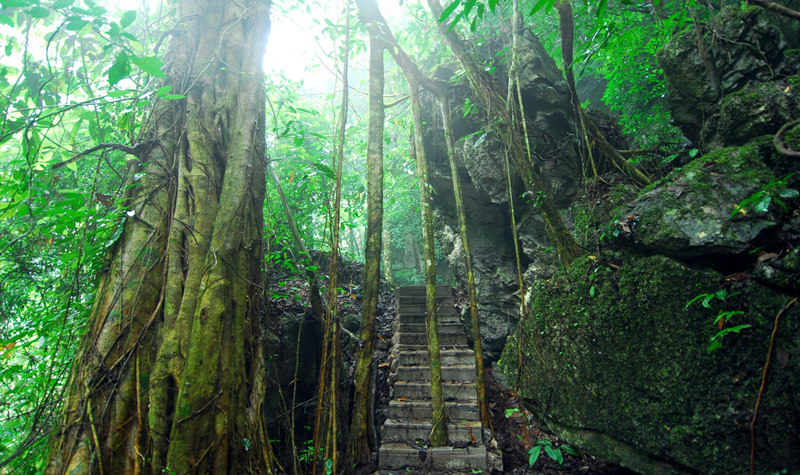 西雙版納熱帶雨林國家公園勐遠仙境