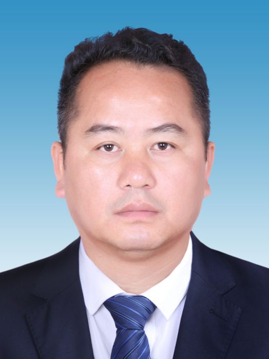 王俊(雲南省保山市昌寧縣人民政府副縣長)