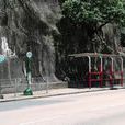 康寧道公園 康寧道公園