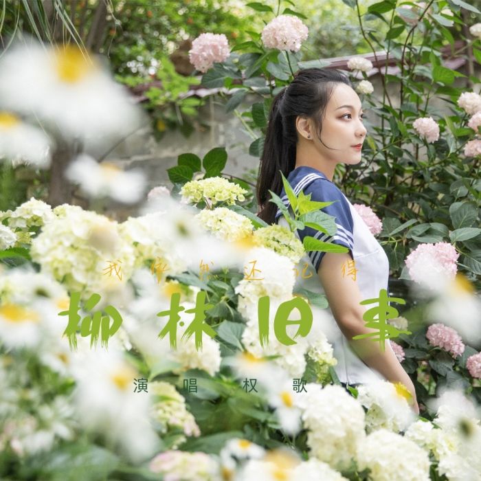 柳林舊事 柳林舊事