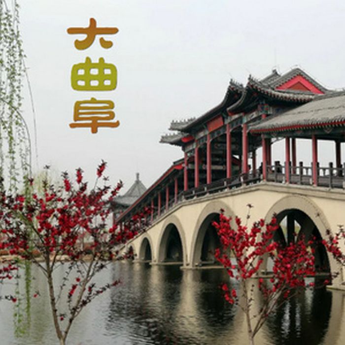 大曲阜 大曲阜