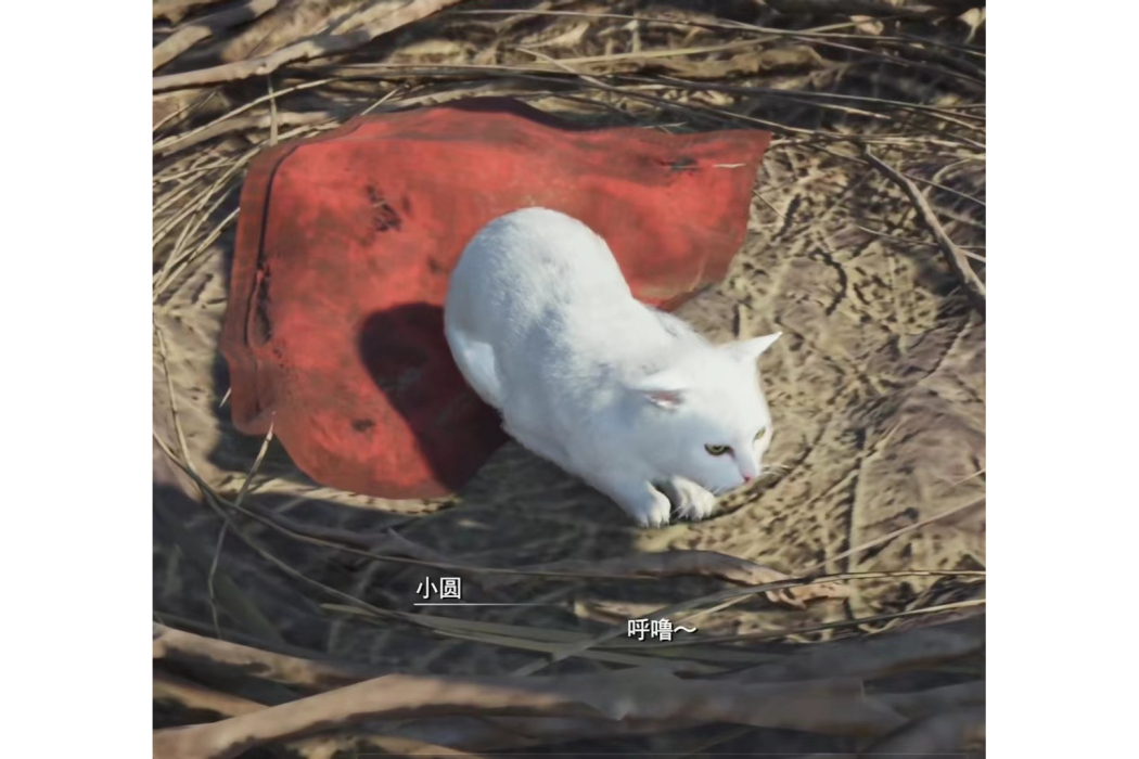 小圓(《最終幻想VII:重生》中的角色) 小圓(《最終幻想VII:重生》中的角色)