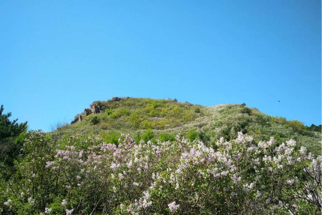 豁牙山 豁牙山