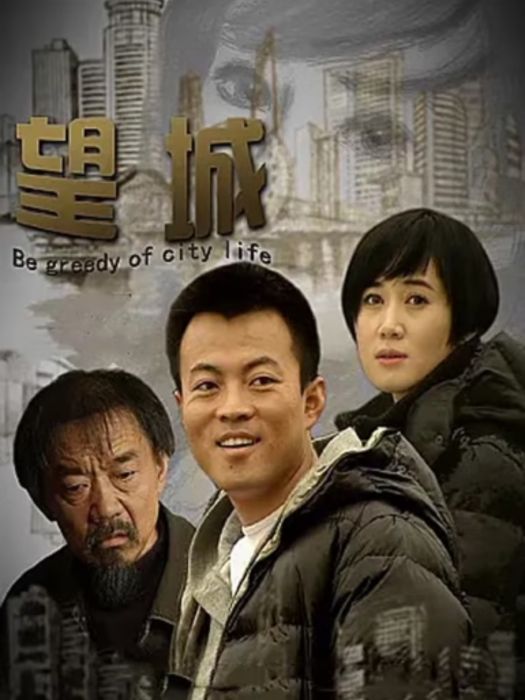 望城(2011年林家川主演的劇情電影) 望城(2011年林家川主演的劇情電影)