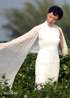 茉莉花(2005年陳道明主演電視劇)