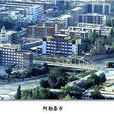 阿勒泰(新疆阿勒泰地區下轄縣級市)