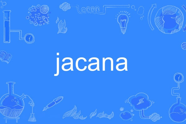 jacana jacana