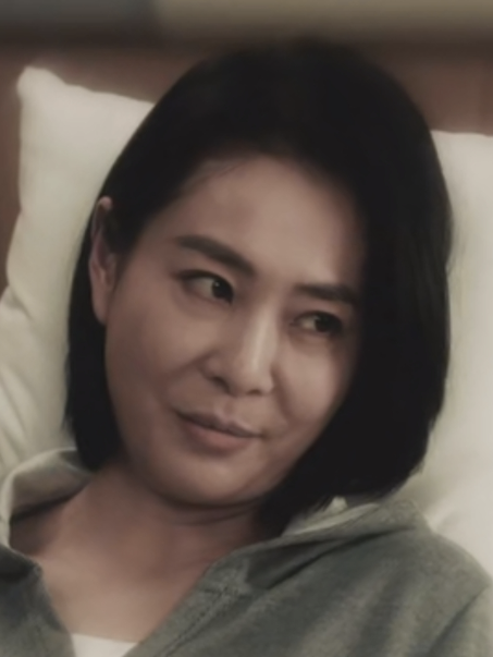 楊淑婷(電視劇《獵豹》中的角色) 楊淑婷(電視劇《獵豹》中的角色)
