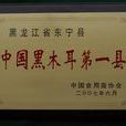 龍賓耳 龍賓耳