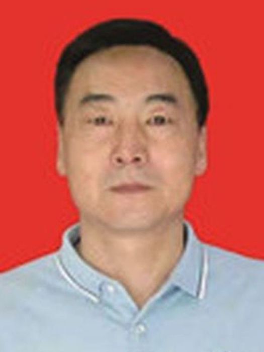 楊建軍(陝西省寶雞市隴縣供銷聯社黨組成員、副主任) 楊建軍(陝西省寶雞市隴縣供銷聯社黨組成員、副主任)