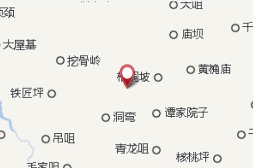 辣子大隊 辣子大隊