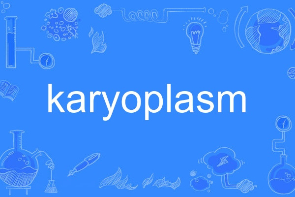 karyoplasm karyoplasm