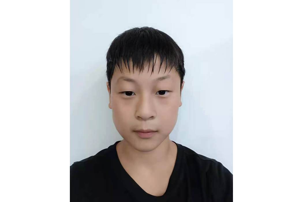 王晨陽(中國拳擊運動員) 王晨陽(中國拳擊運動員)