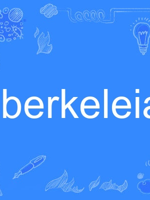 berkeleian berkeleian