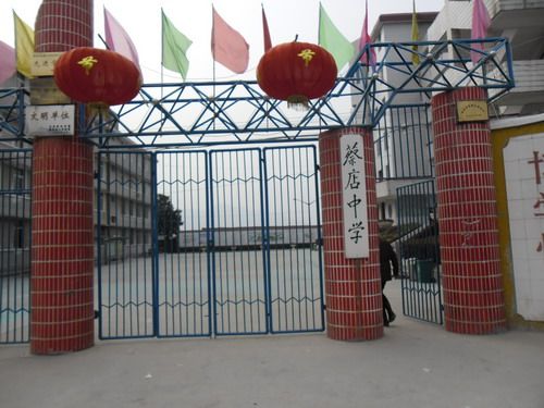 蔡店中學 蔡店中學