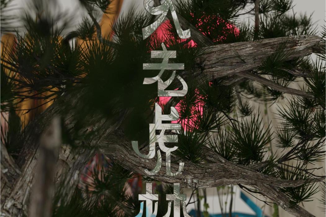 入老虎林 入老虎林