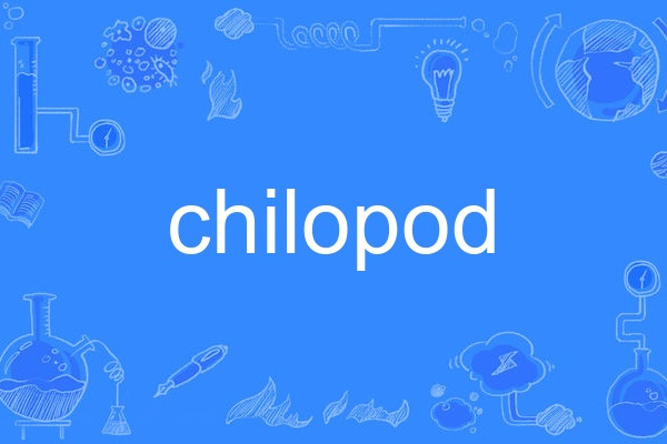 chilopod chilopod