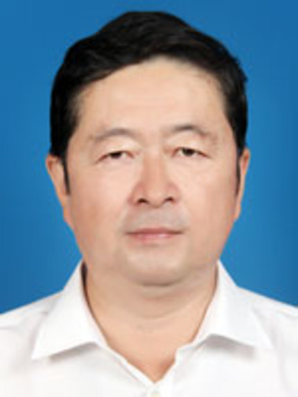 陳強(山東省臨沂市原副市長)