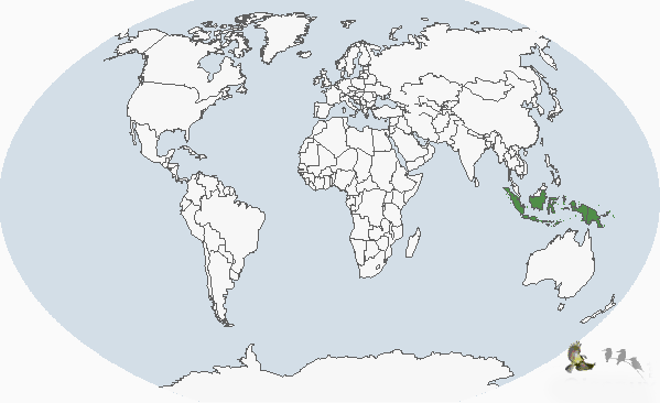 紐幾內亞秧雞分布圖