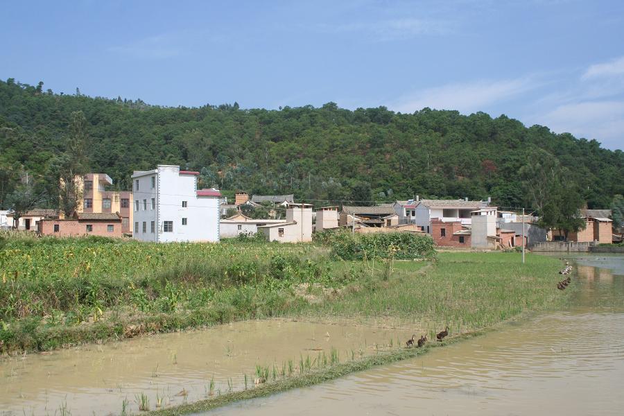 很底村 很底村