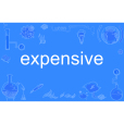 expensive expensive