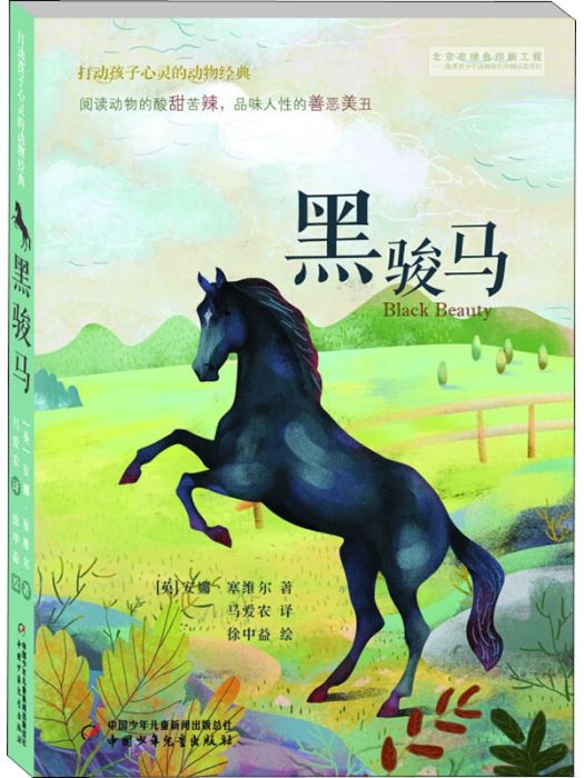 黑駿馬(2017年中國少年兒童出版社出版的圖書) 黑駿馬(2017年中國少年兒童出版社出版的圖書)