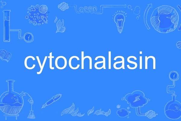cytochalasin cytochalasin