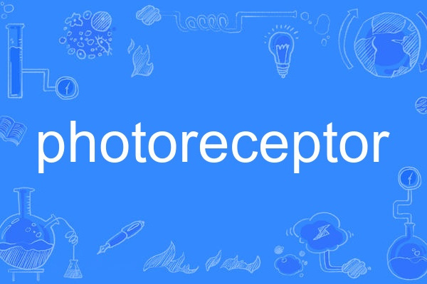 photoreceptor photoreceptor