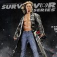 Survivor Series Survivor Series