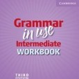Grammar in Use Intermediate Workbook