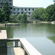 青年湖 青年湖