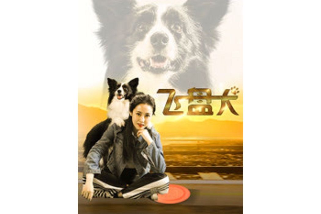 飛盤犬 飛盤犬