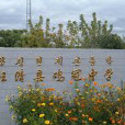 雞冠中學 雞冠中學