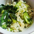 豬油菜飯 豬油菜飯