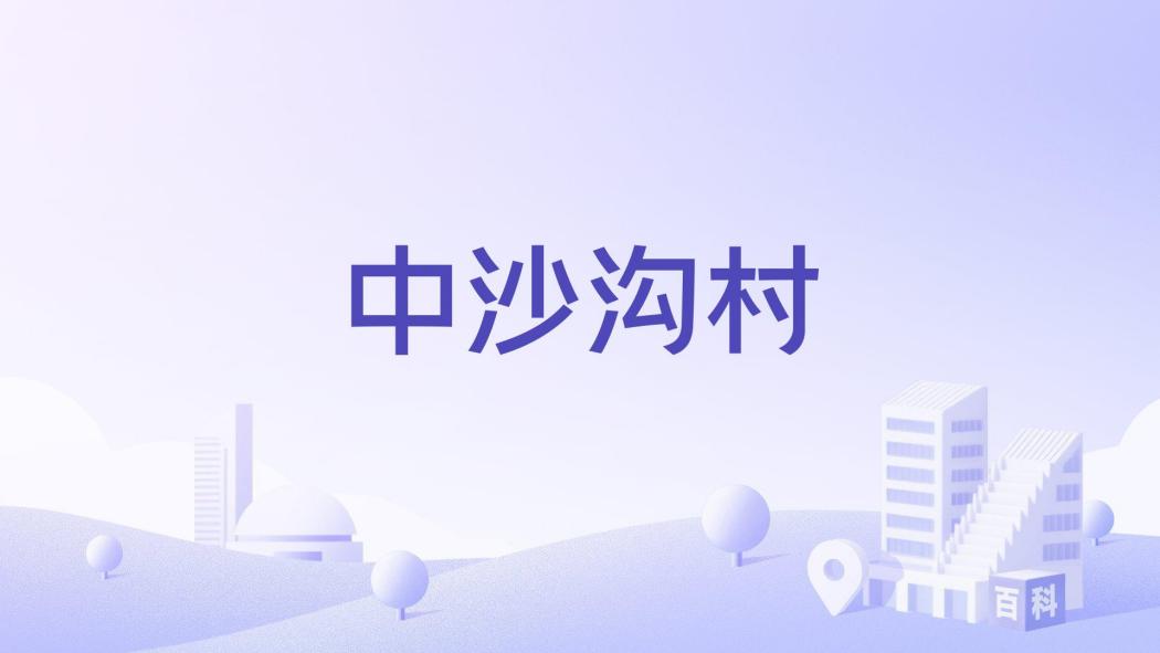 中沙溝村 中沙溝村