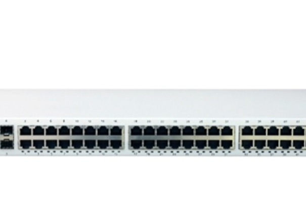 斐訊FS3048 斐訊FS3048