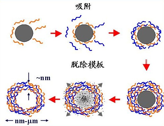 分子包埋法