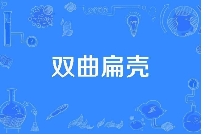 雙曲扁殼 雙曲扁殼