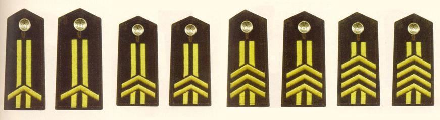 解放軍陸軍軍士長肩章(1993～1999)