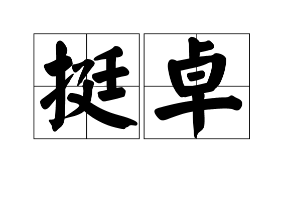 挺卓 挺卓