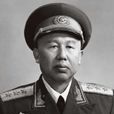 王平(開國上將)